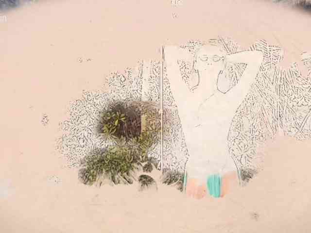 Taanni webcam