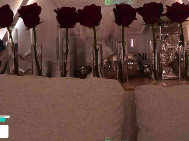 Taanni webcam