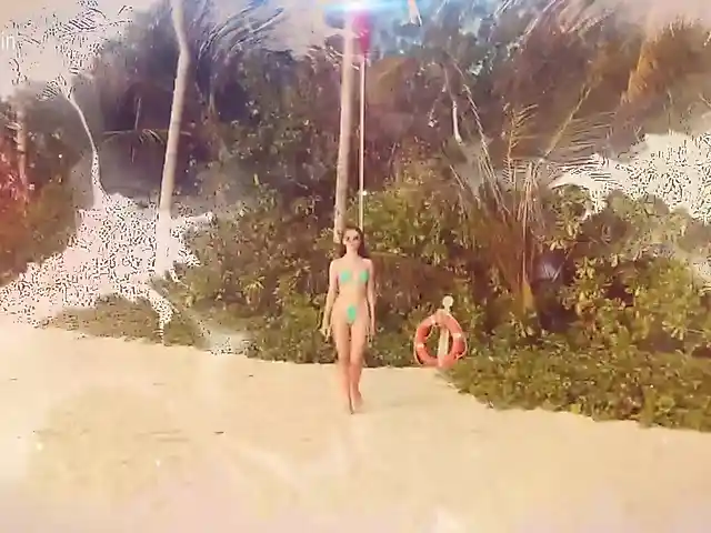 Taanni