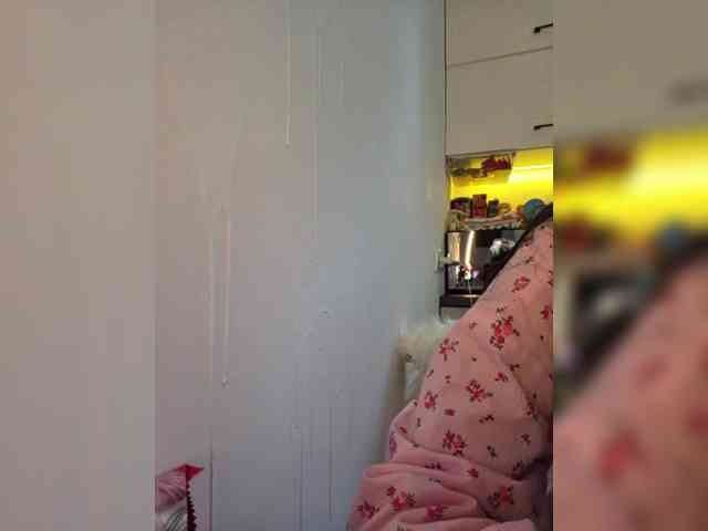 Taanni webcam