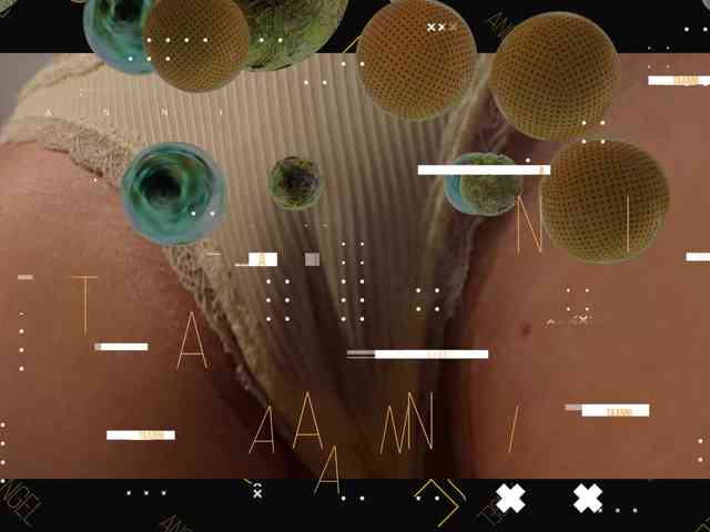 Taanni webcam