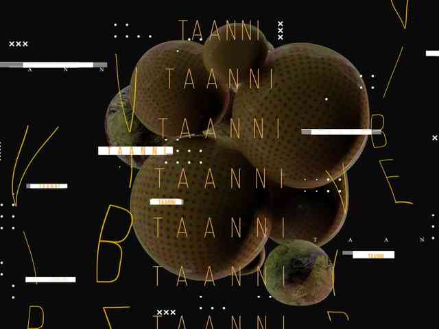 Модель: Taanni