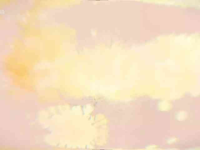 Taanni webcam