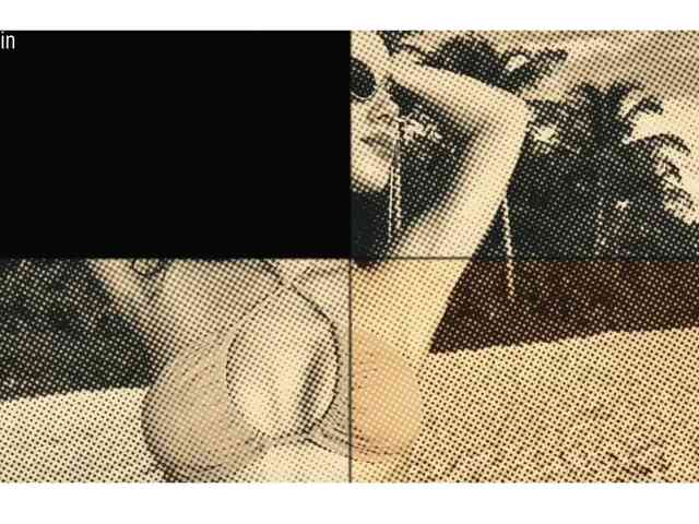 Taanni webcam