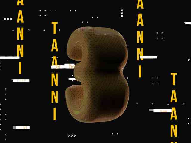 Taanni webcam
