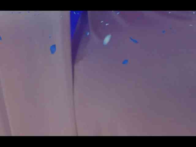 Taanni webcam