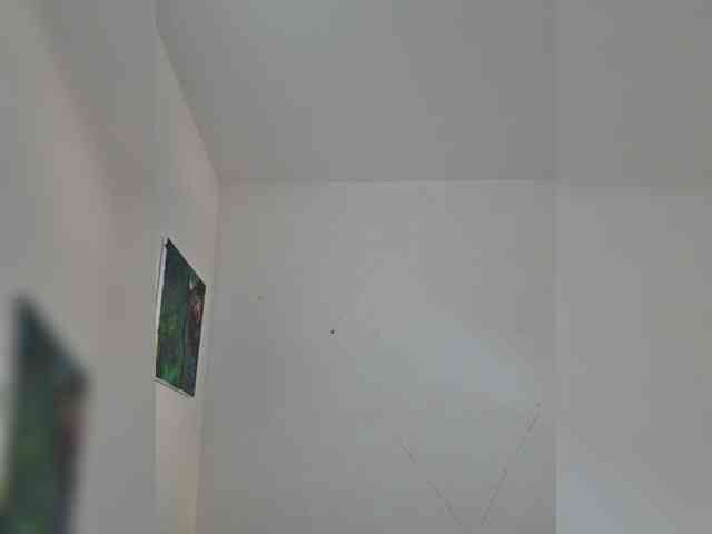 Taanni webcam