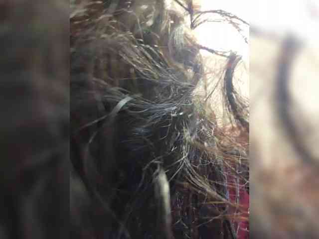 Модель: Taanni