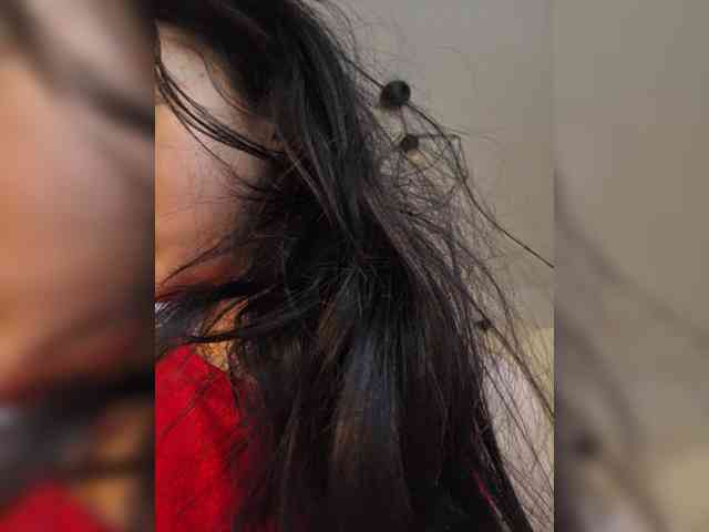 Taanni webcam