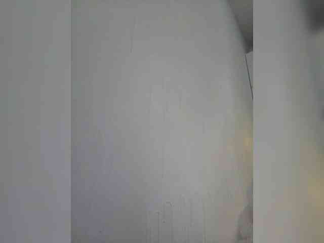 Модель: Taanni