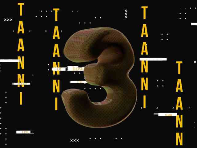 Taanni webcam