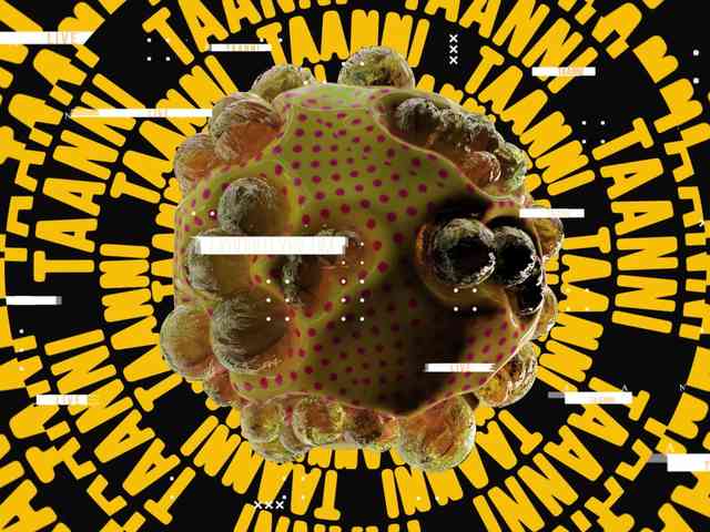 Taanni webcam