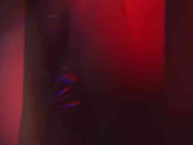 Taanni webcam