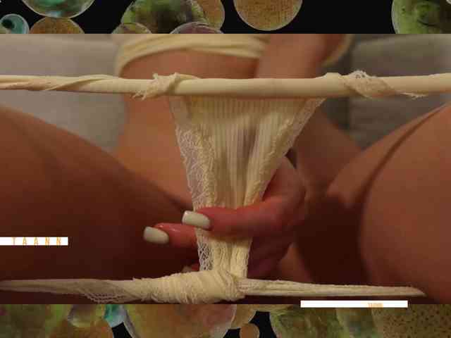 Taanni webcam