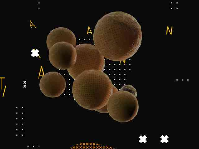 Модель: Taanni