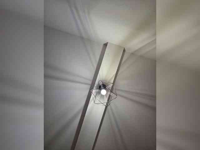Taanni webcam