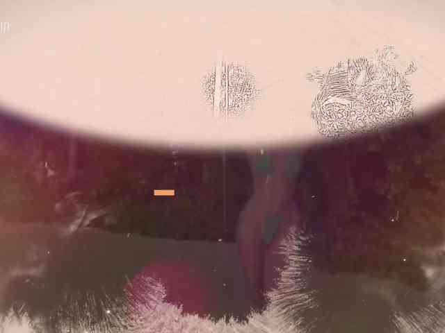Taanni