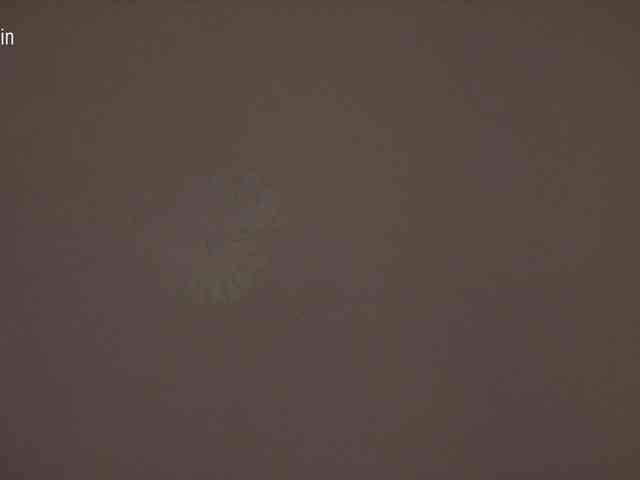 Taanni webcam
