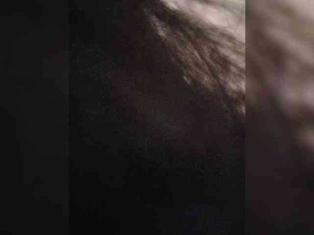 Taanni webcam