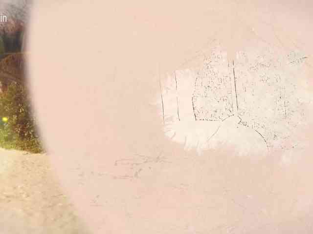 Taanni webcam