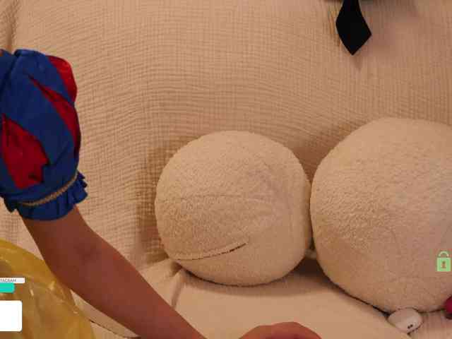 Taanni webcam