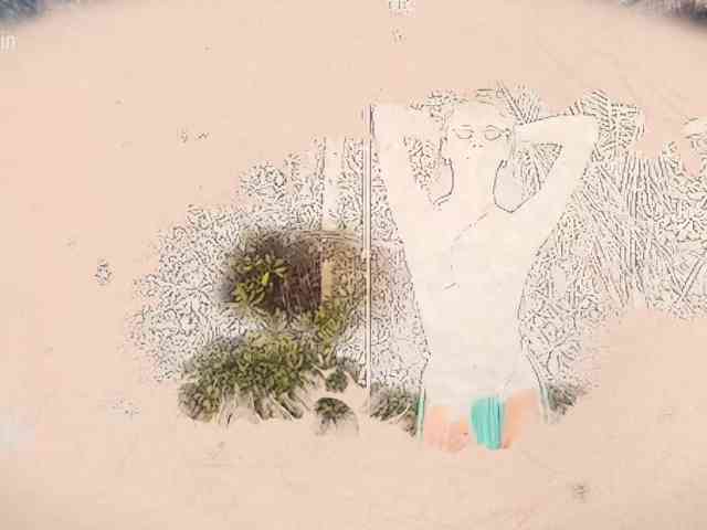 Taanni webcam