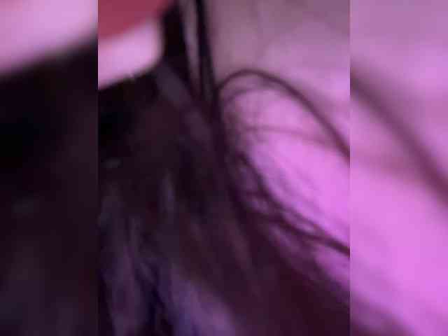 Taanni webcam