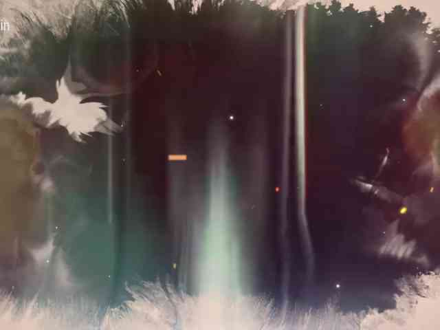 Taanni webcam