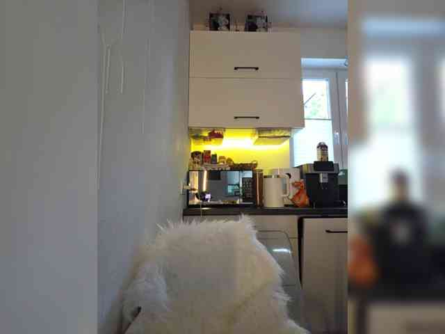 Taanni webcam
