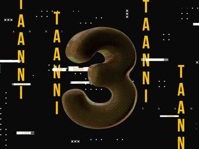 Taanni webcam