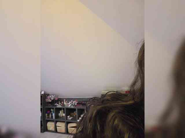 Taanni webcam