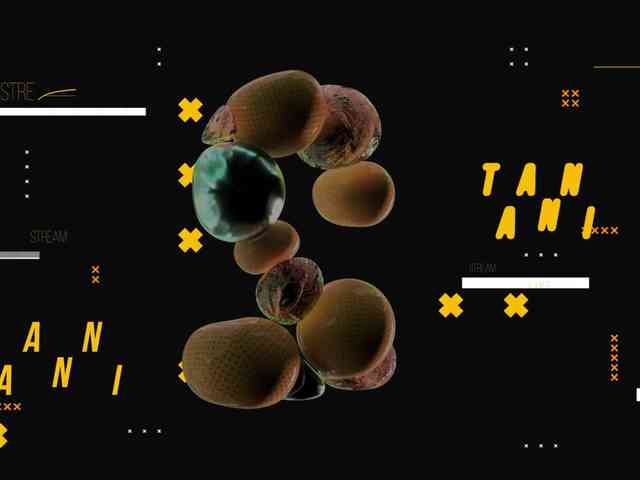 Модель: Taanni