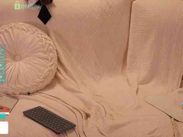Taanni webcam