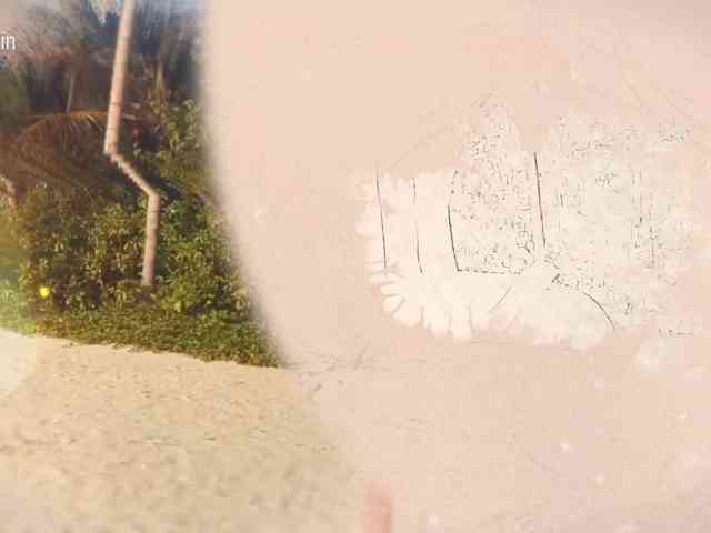 Taanni webcam
