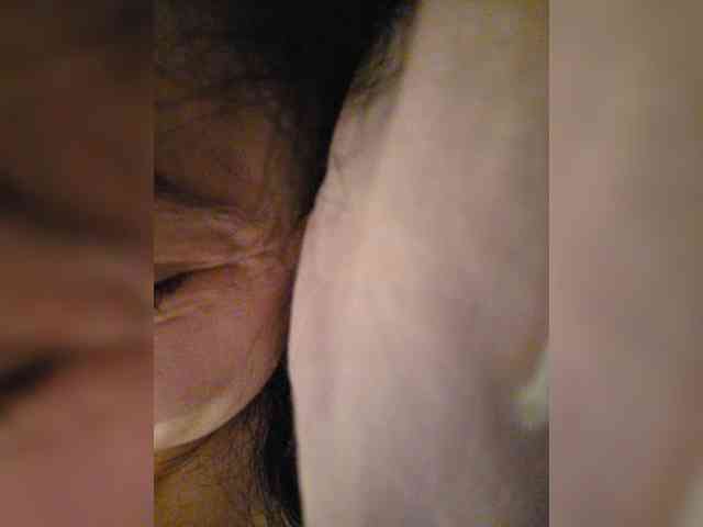 Taanni webcam