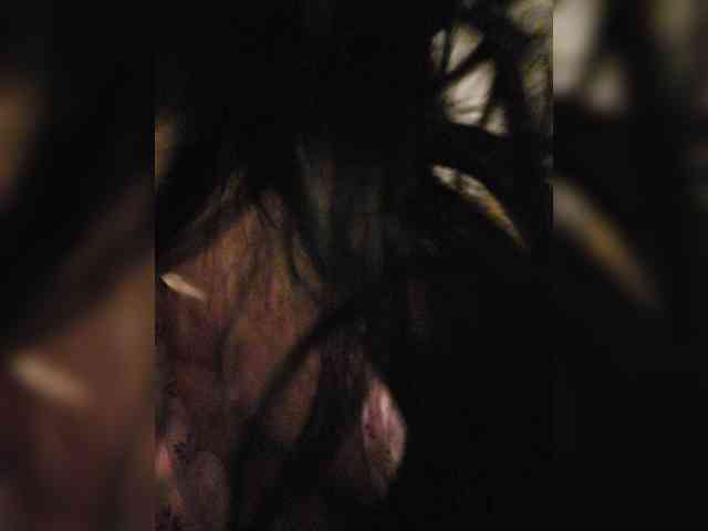 Taanni webcam