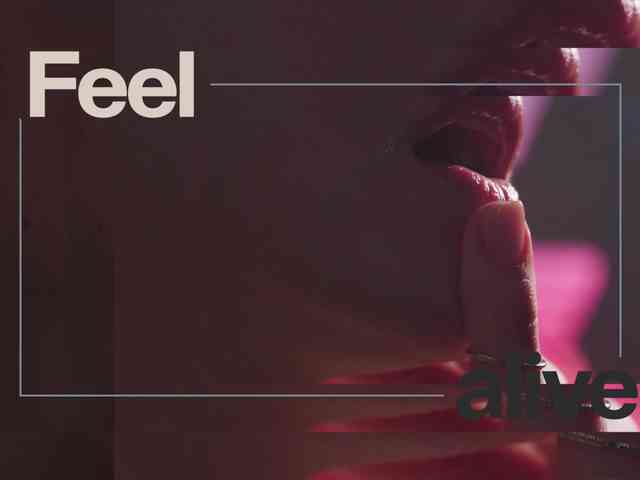 Модель: Taanni