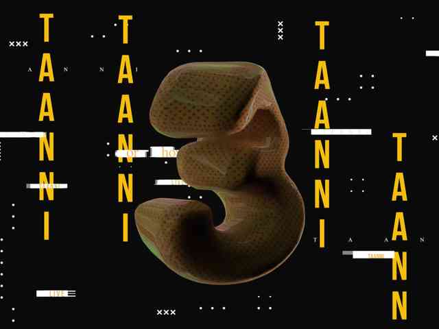 Taanni webcam