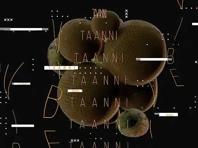 Taanni