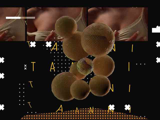 Taanni webcam