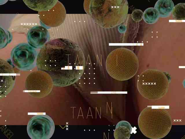 Модель: Taanni