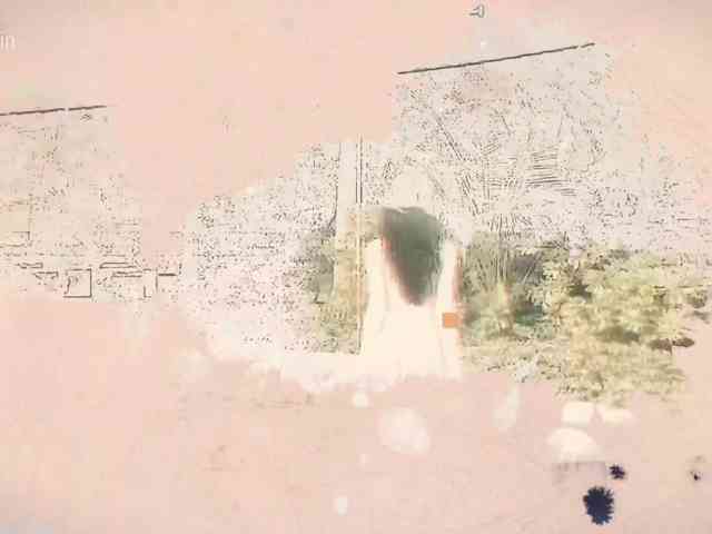 Taanni webcam