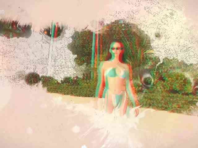 Taanni webcam