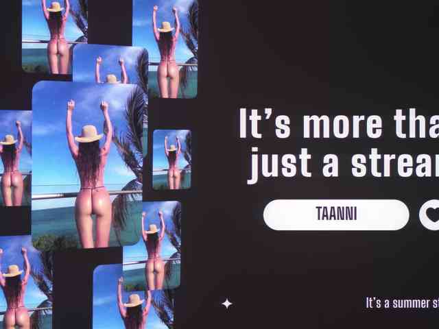 Taanni webcam