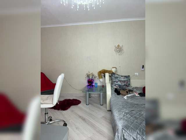stella888 online