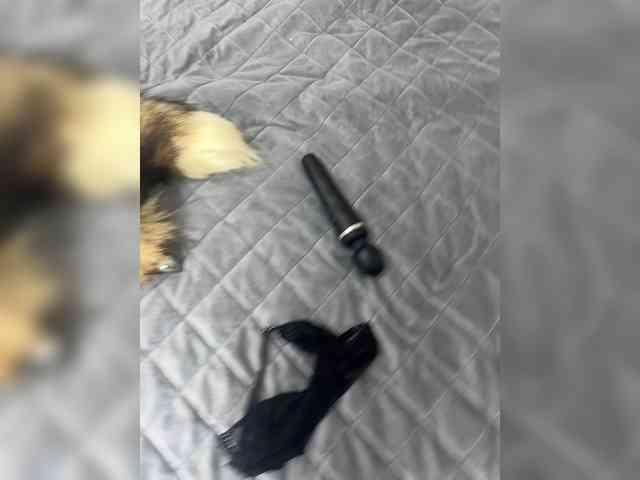 Stella888 Sex Cam Show