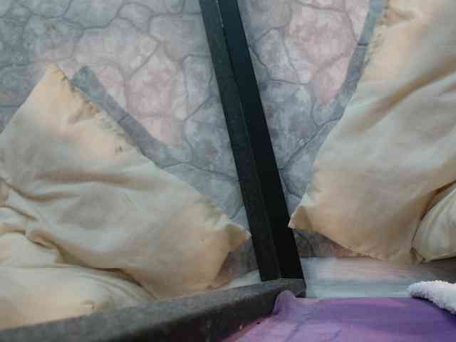 DIRTY-WH0RE webcam