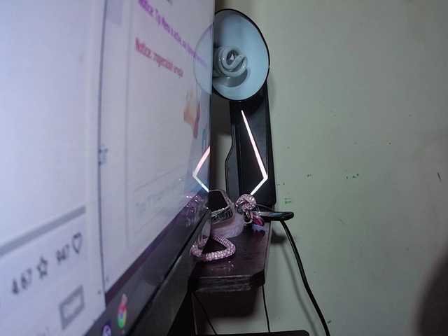melanyissabel live cam on BongaCams