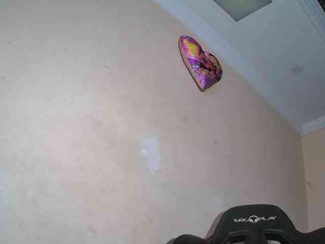 melanyisabell webcam