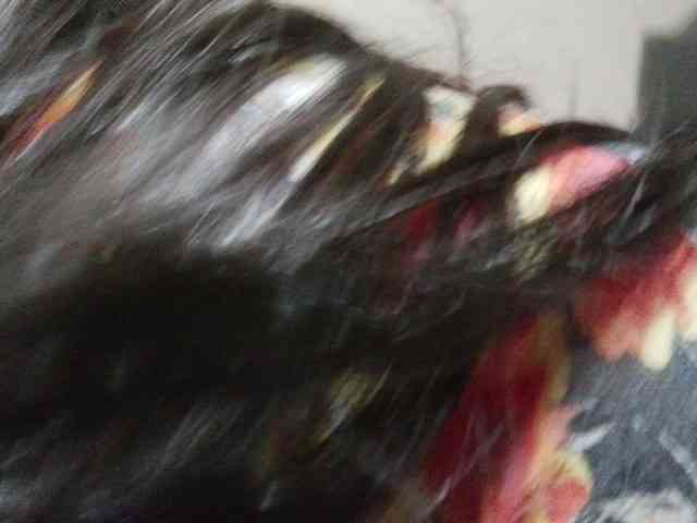 melanyisabell webcam